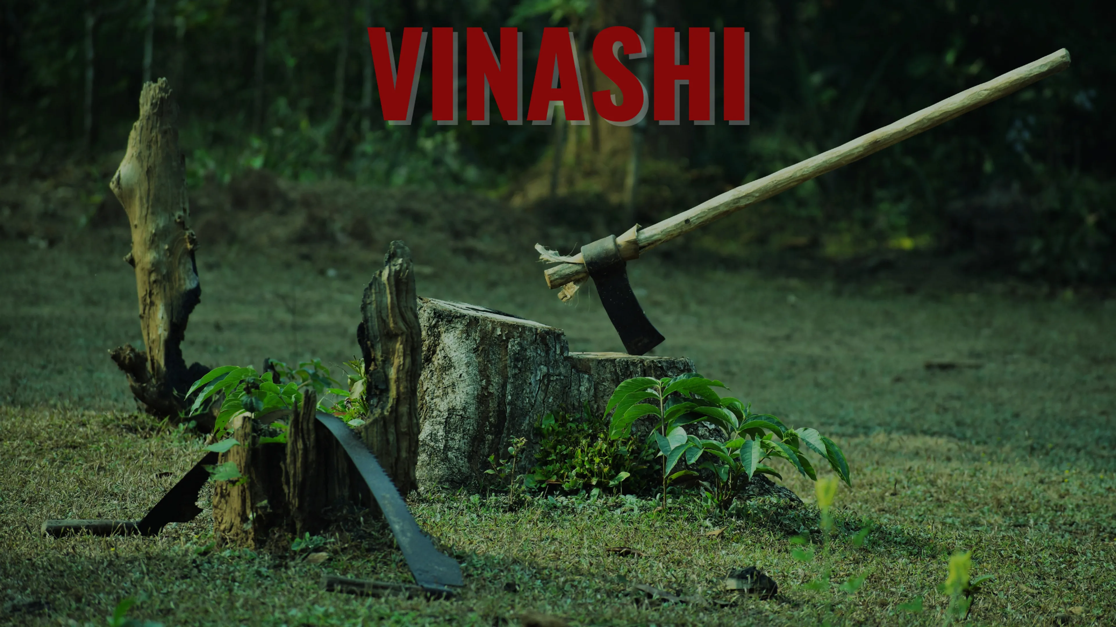 Vinashi poster